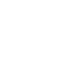 SVG Icon