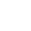 SVG Icon