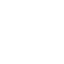 SVG Icon