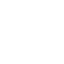 SVG Icon