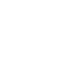 SVG Icon
